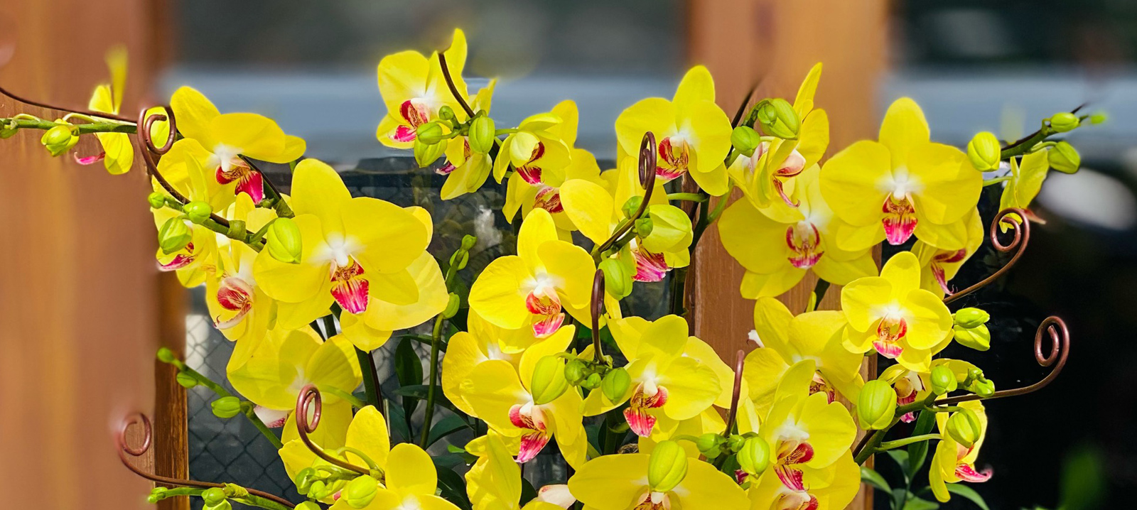 hoadepdanang-banner-1