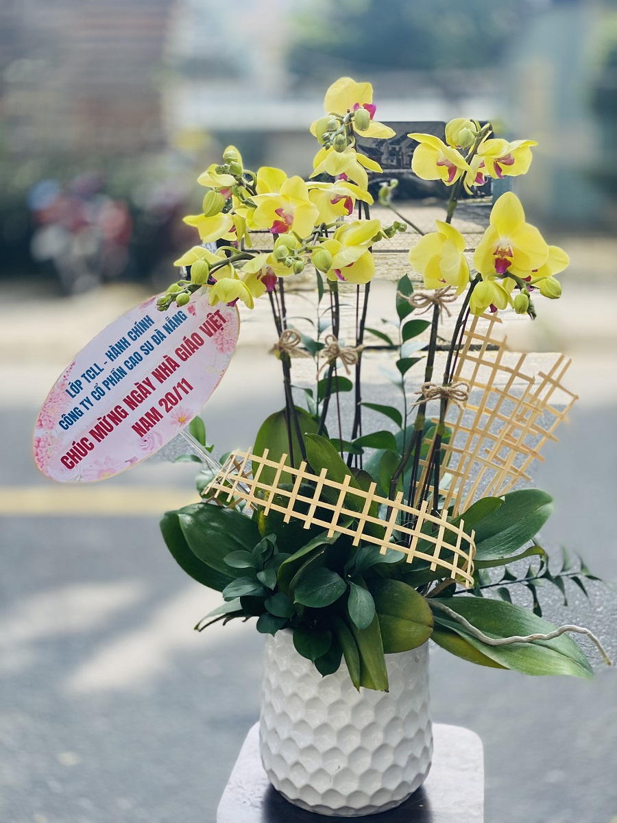 hoc-chuc-mung-hoa-sinh-nhat-33