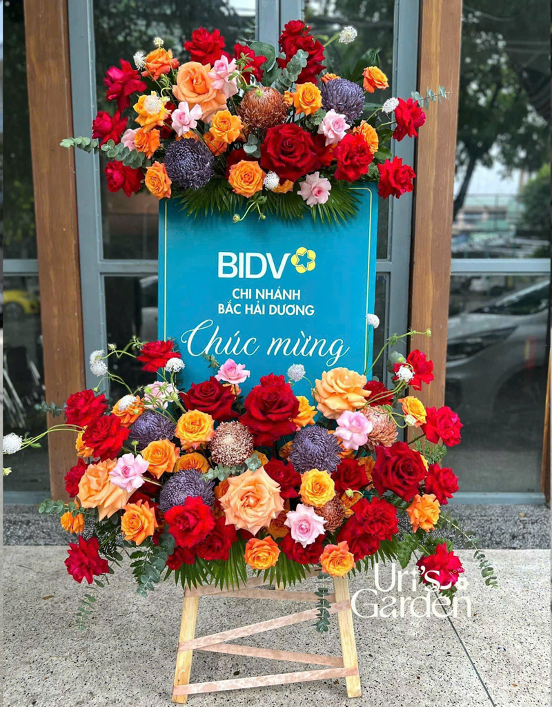 hoa-khai-truoc-2025-12