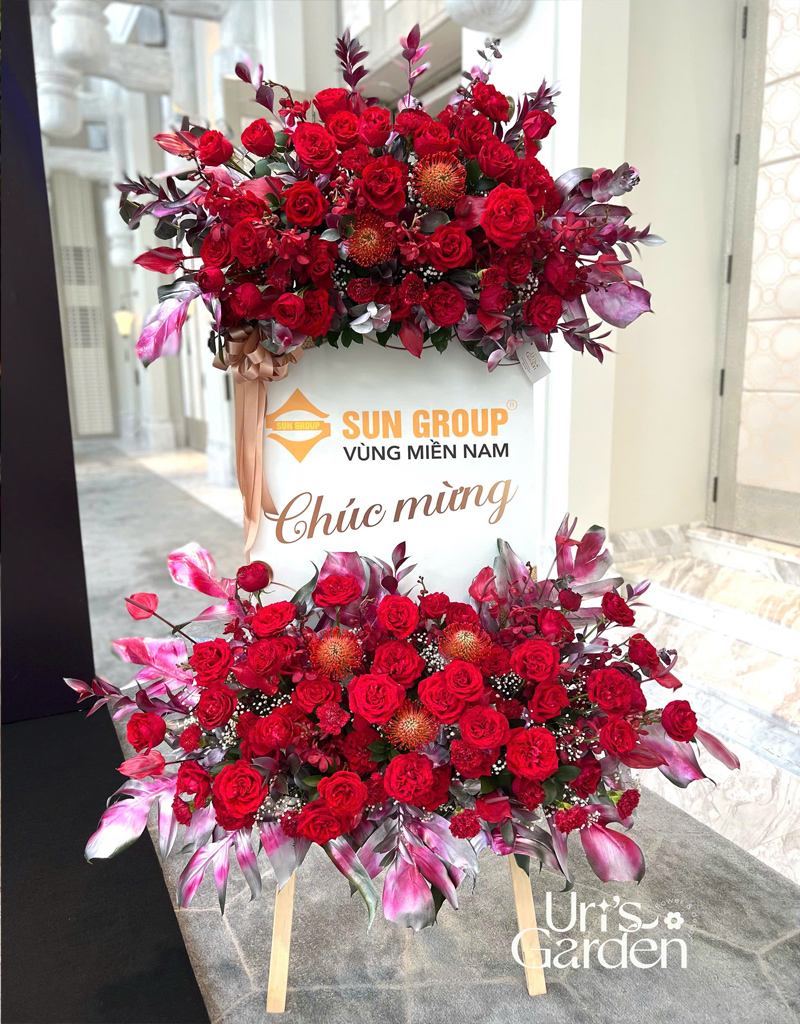 hoa-khai-truoc-2025-26