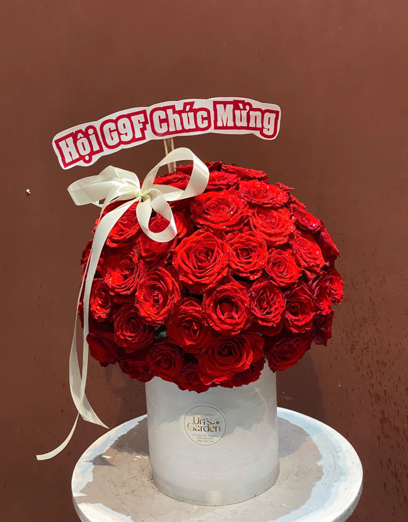 hoa-sinh-nhat-moi-2025-27