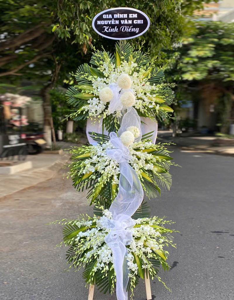 hoa-tang-mau-moi-2025-2