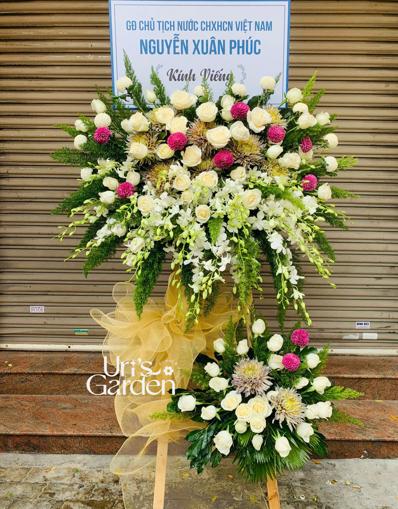 hoa-tang-mau-moi-2025-26