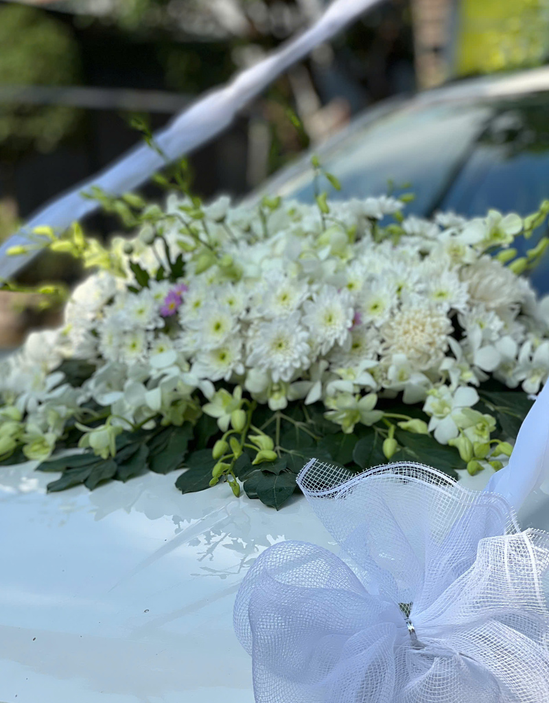 hoa-tang-mau-moi-2025-29