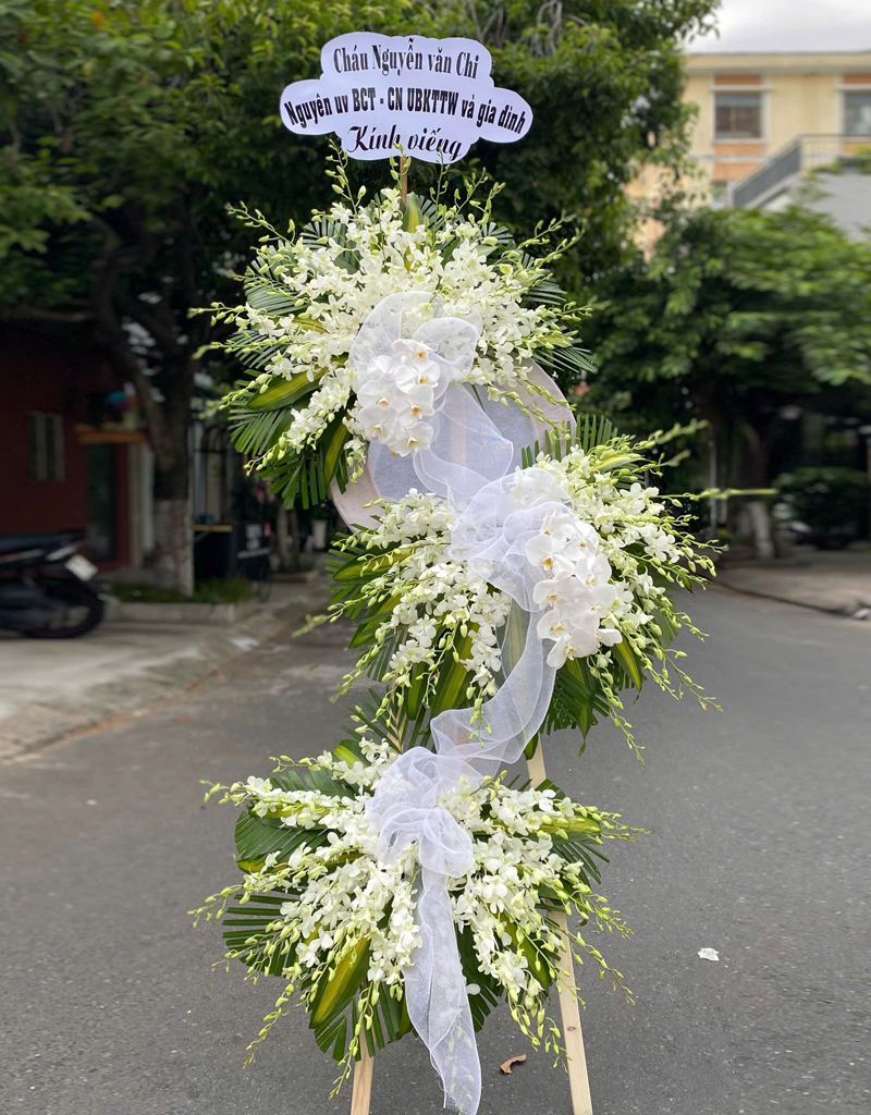 hoa-tang-mau-moi-2025-3