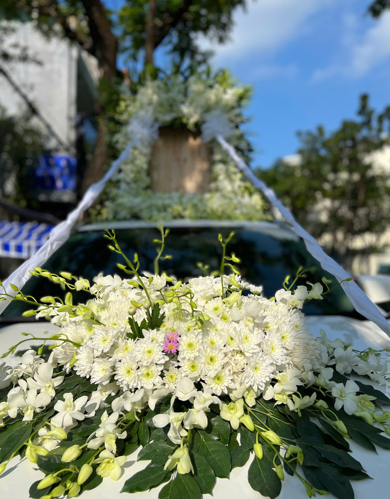 hoa-tang-mau-moi-2025-31