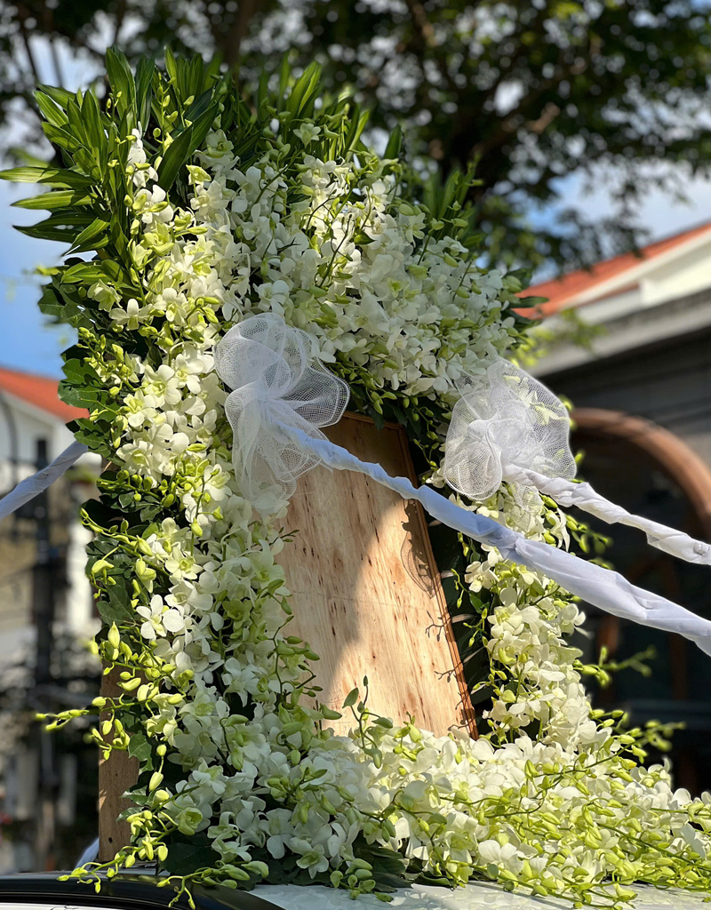 hoa-tang-mau-moi-2025-32