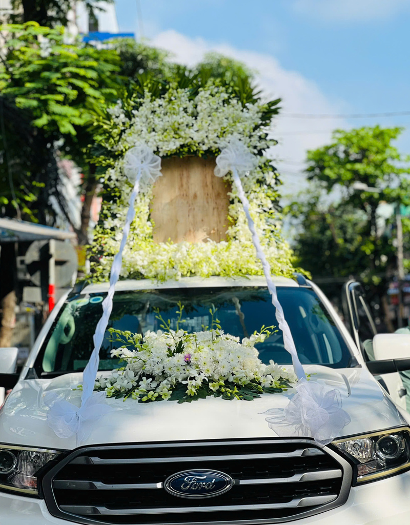 hoa-tang-mau-moi-2025-33