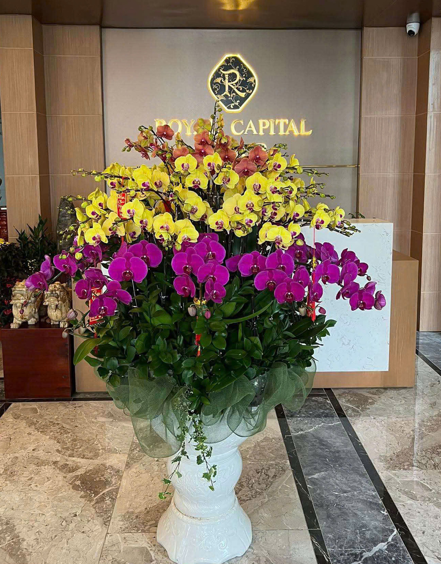 hoa-tiec-su-kien-mau-moi-2025-19