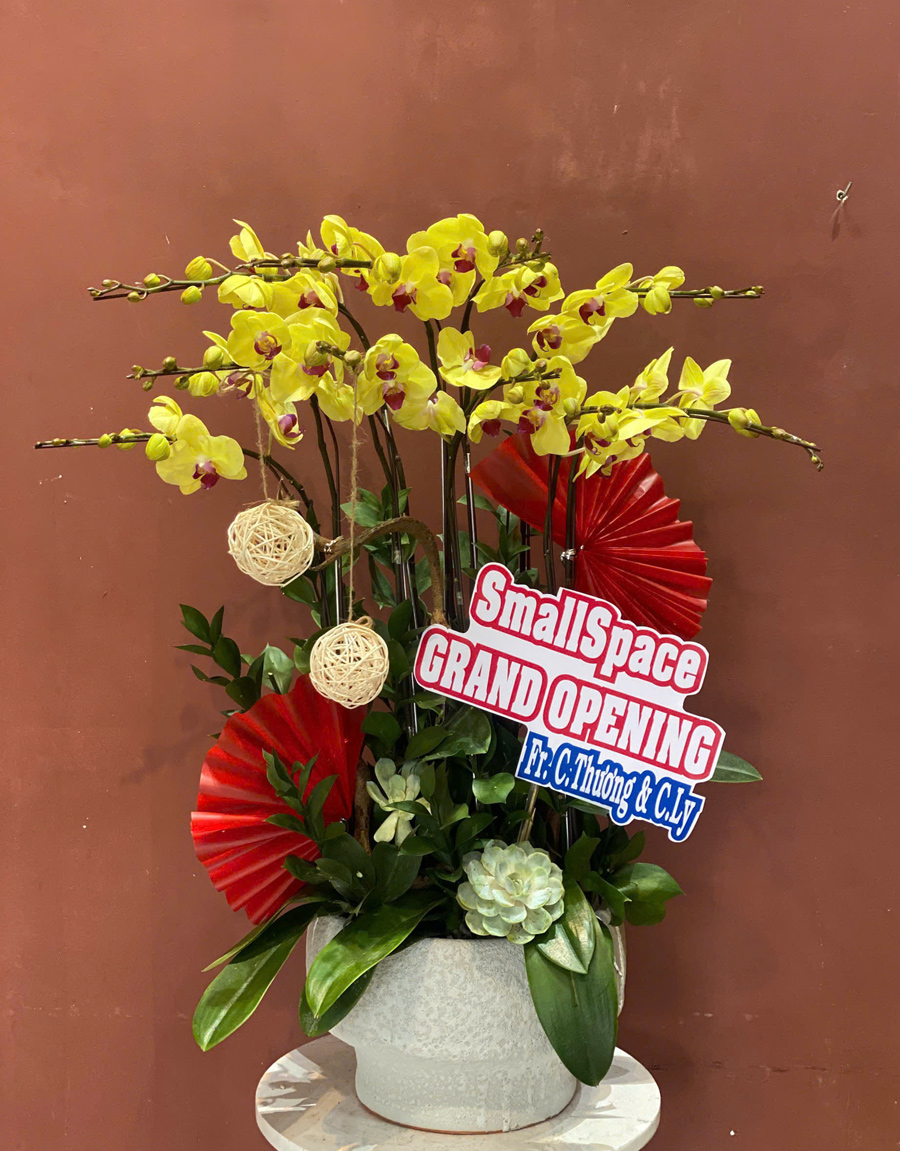 lan-ho-diep-mau-moi-16