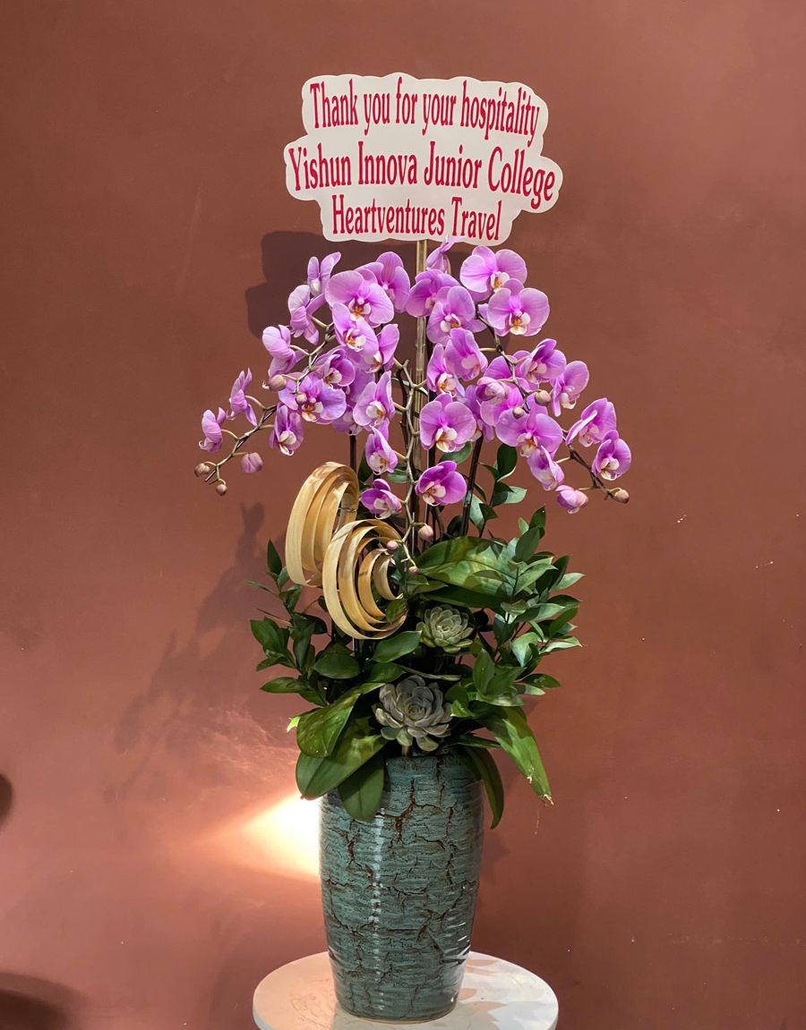 lan-ho-diep-mau-moi-18