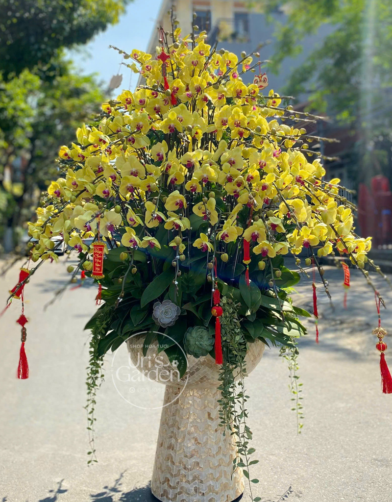 lan-ho-diep-mau-moi-2025-11