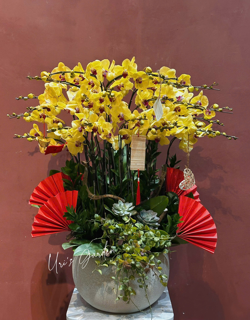 lan-ho-diep-mau-moi-2025-3