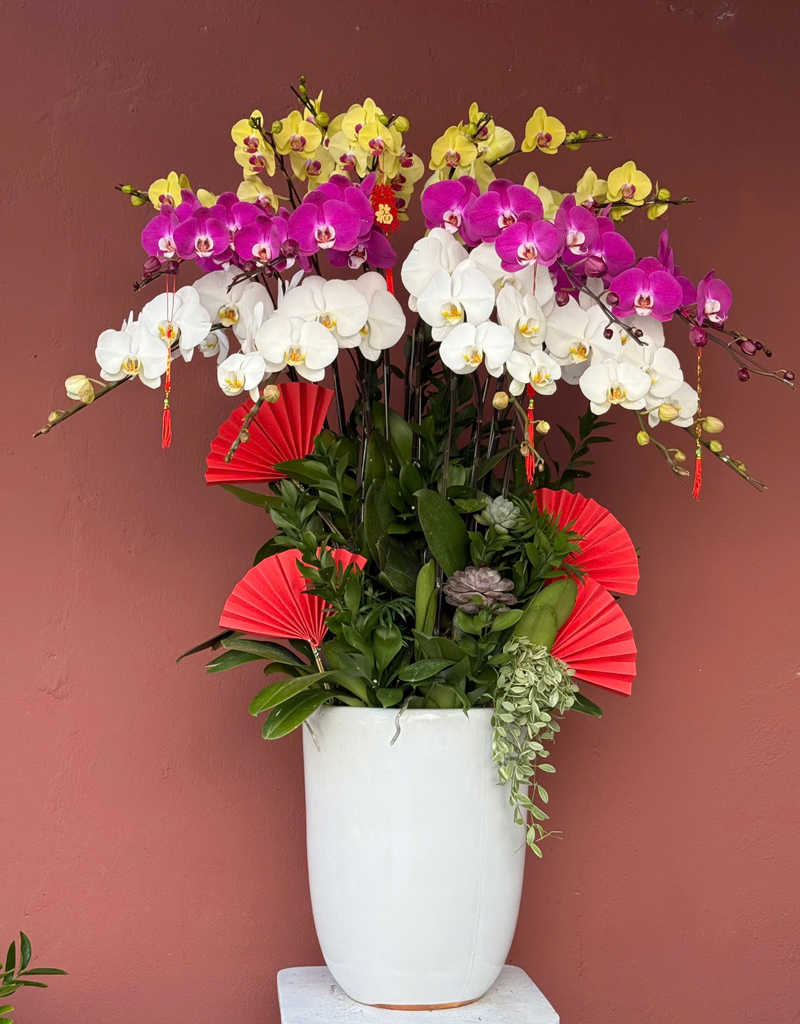 lan-ho-diep-mau-moi-2025-4