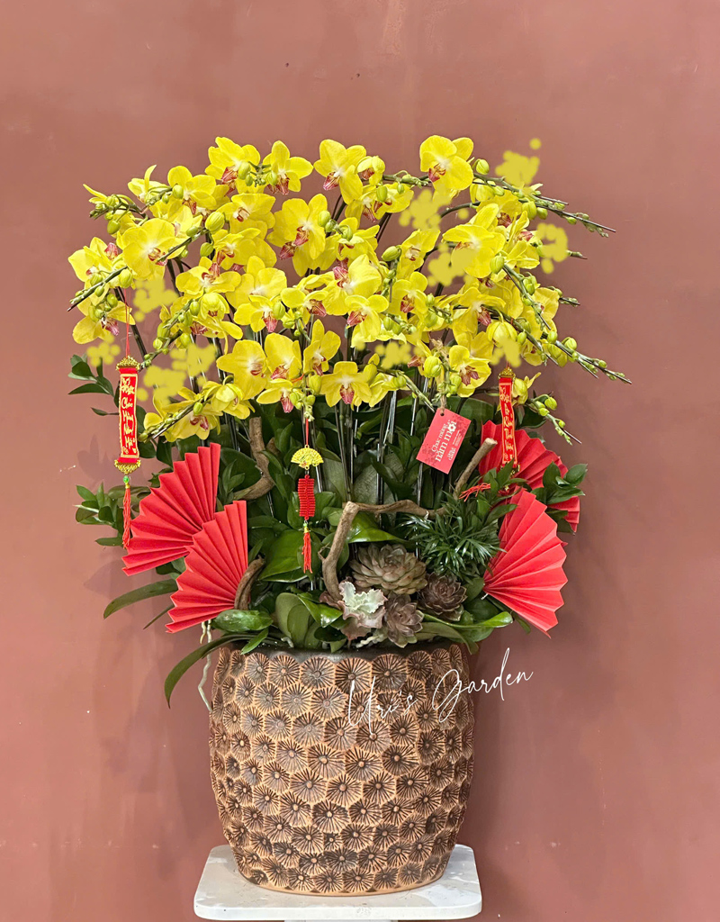 lan-ho-diep-mau-moi-2025-5