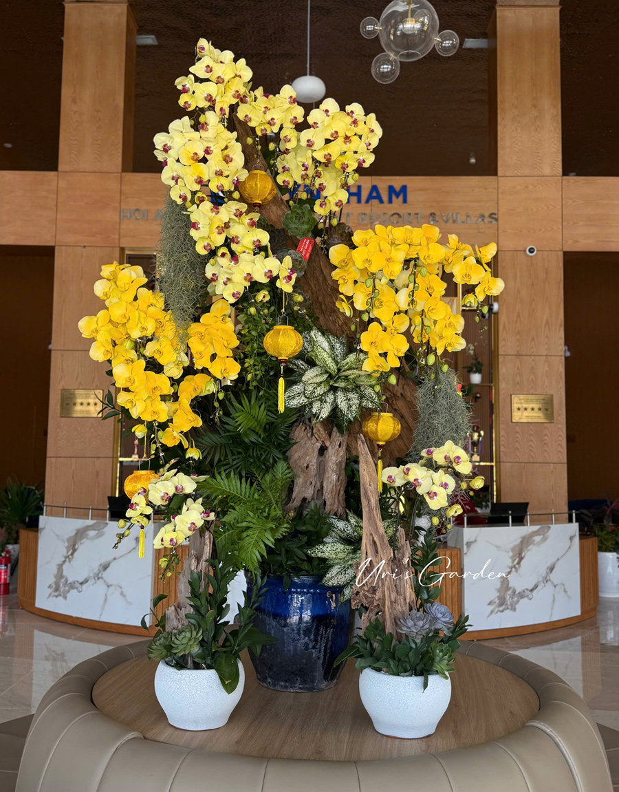 lan-ho-diep-mau-moi-21