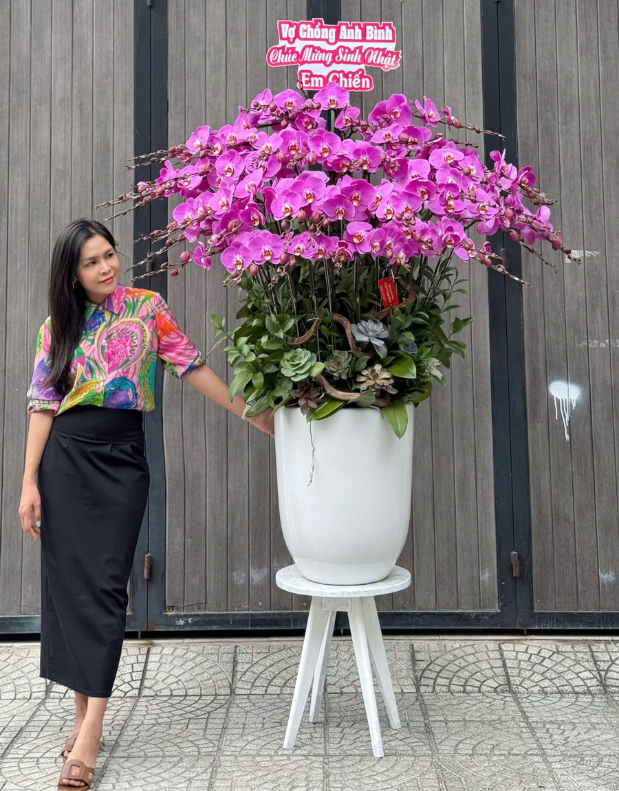 lan-ho-diep-mau-moi-26