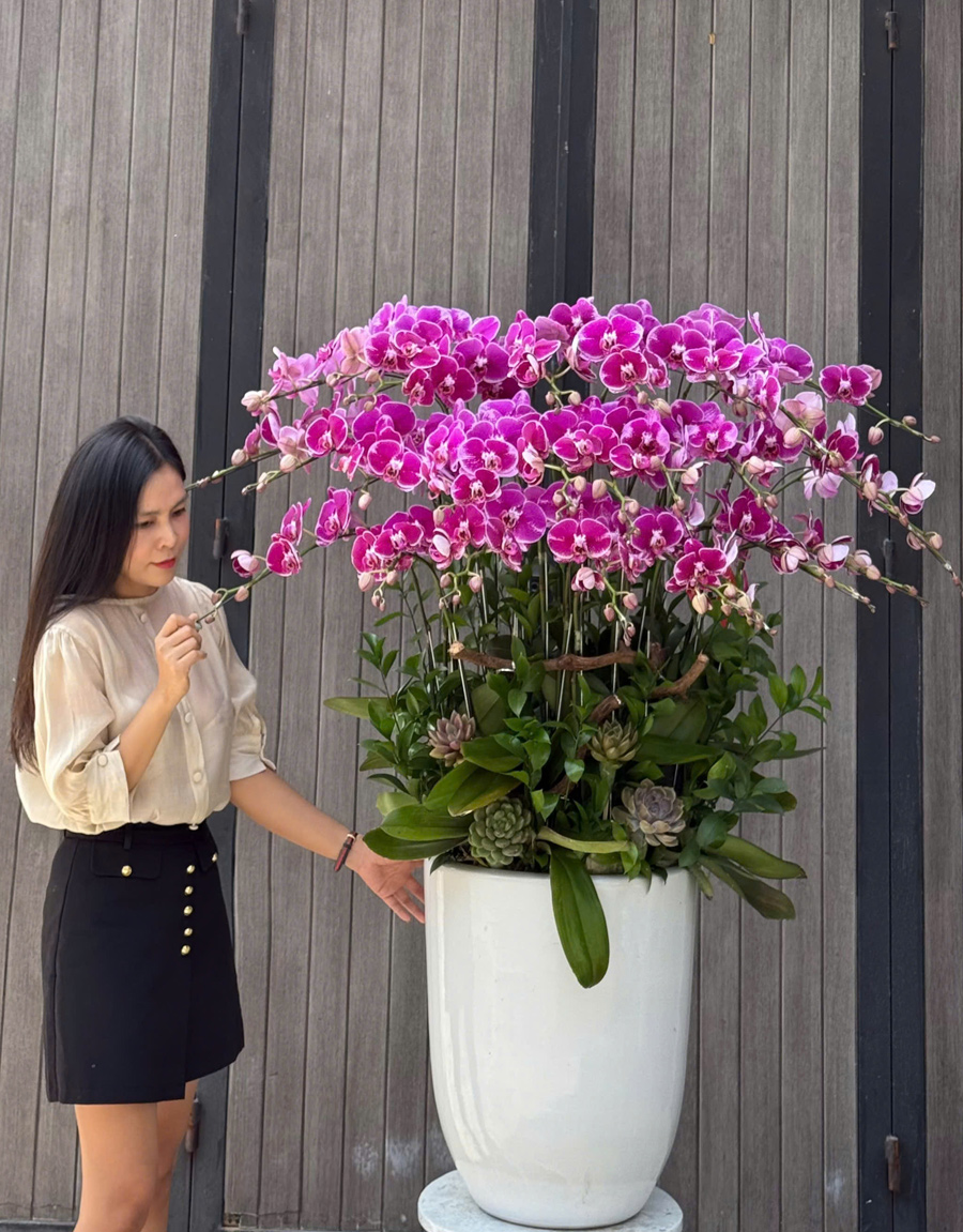 lan-ho-diep-mau-moi-28