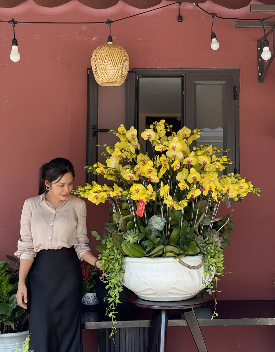 lan-ho-diep-mau-moi-31