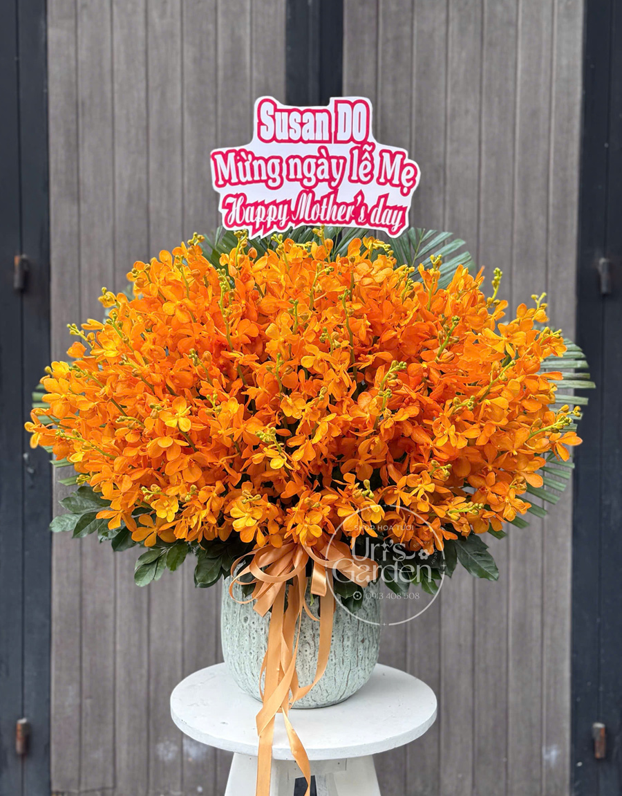 lan-ho-diep-mau-moi-34