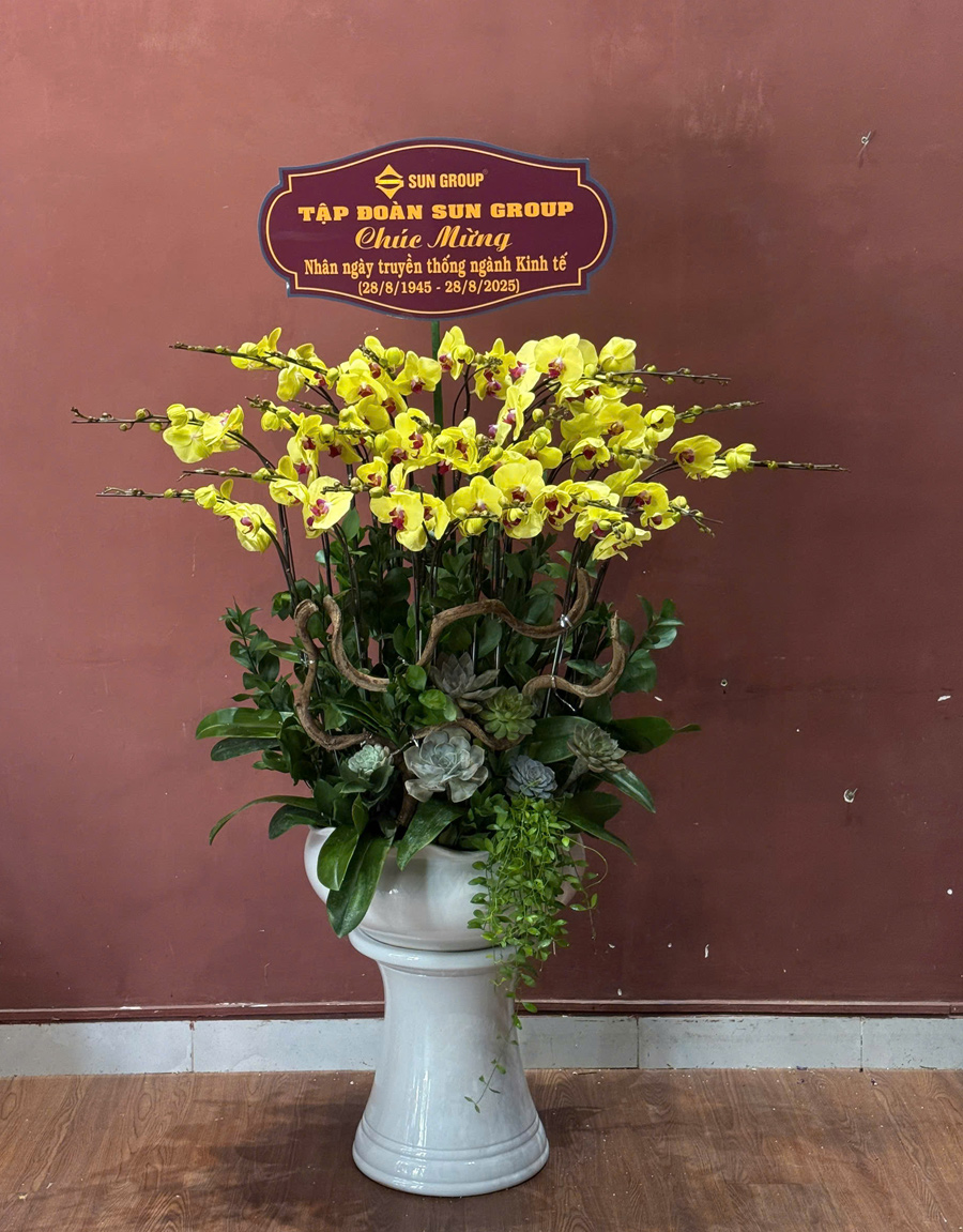 lan-ho-diep-mau-moi-4