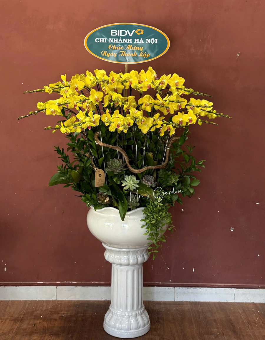 lan-ho-diep-mau-moi-5