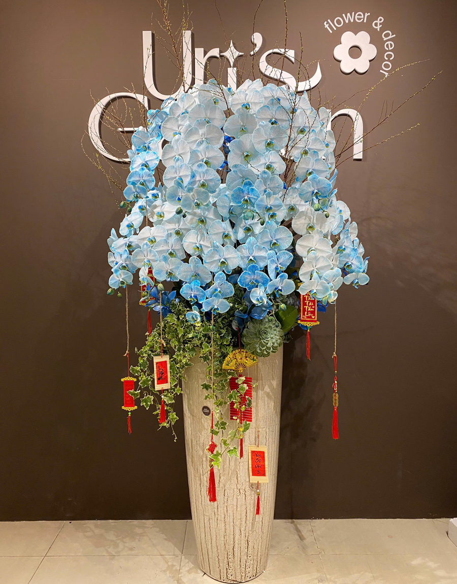 lan-ho-diep-mau-moi-54