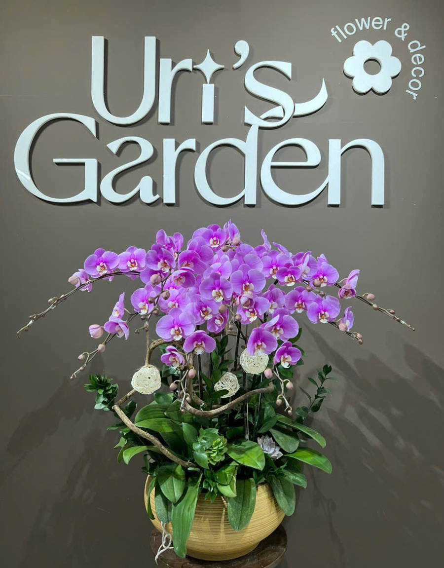 lan-ho-diep-mau-moi-57