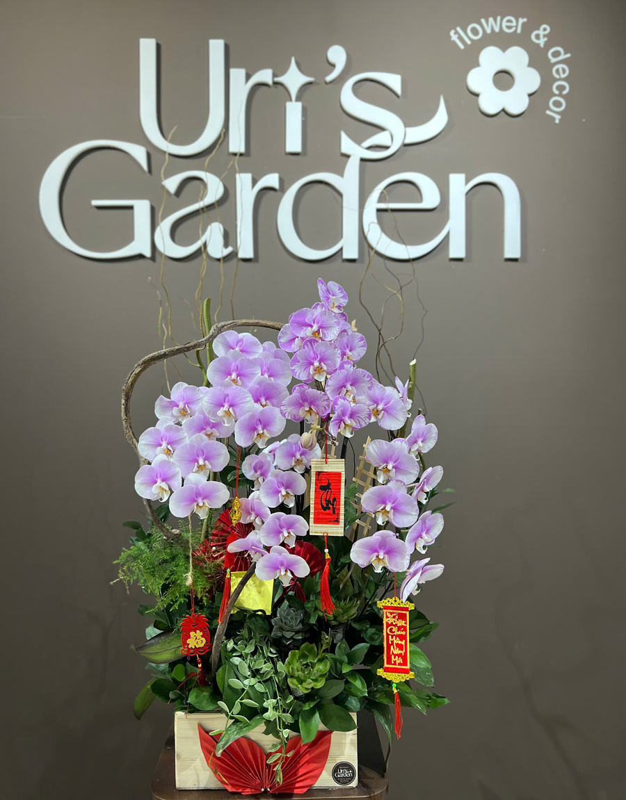 lan-ho-diep-mau-moi-58