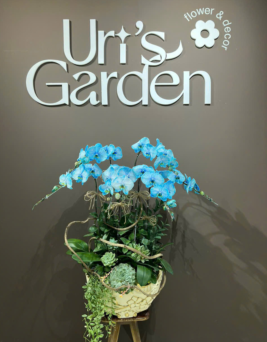 lan-ho-diep-mau-moi-59