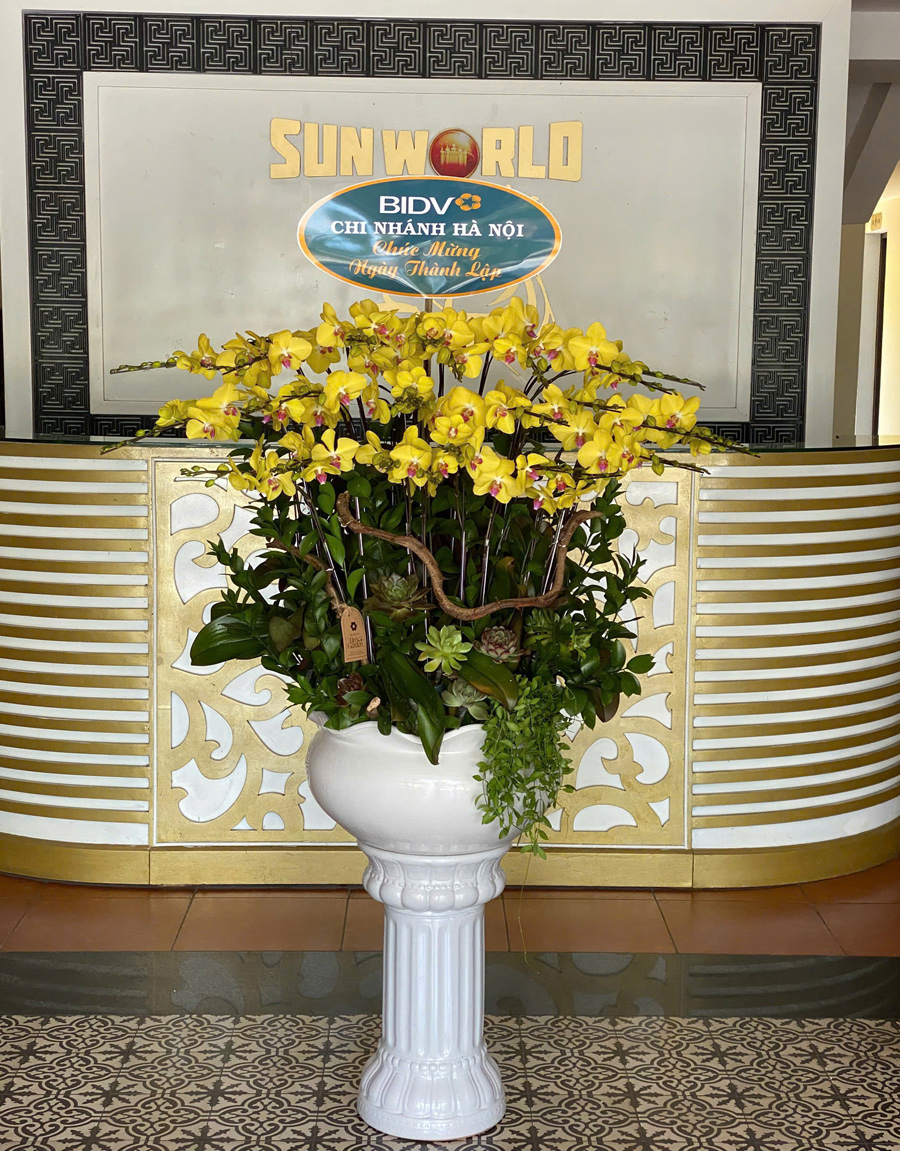 lan-ho-diep-mau-moi-6