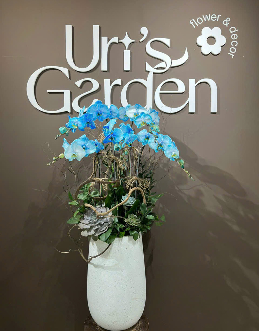 lan-ho-diep-mau-moi-60