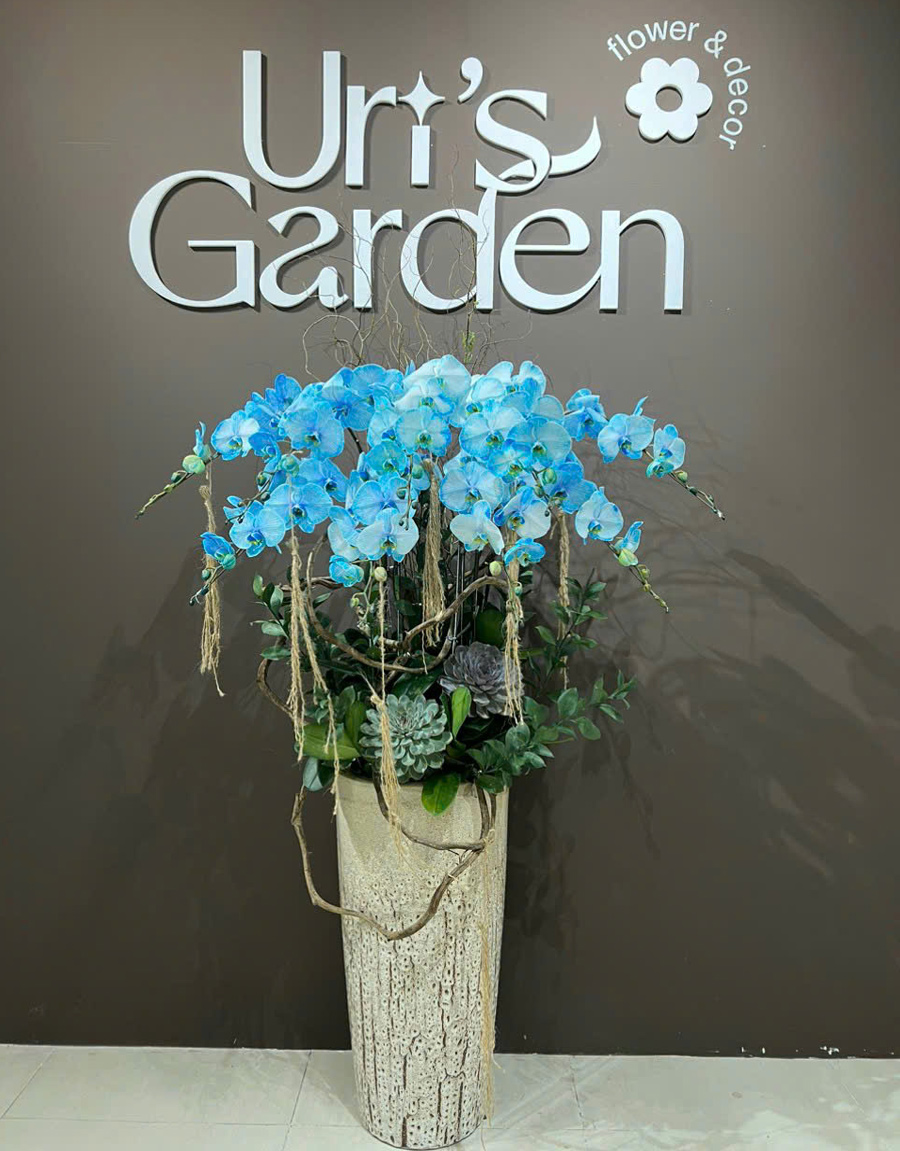 lan-ho-diep-mau-moi-61