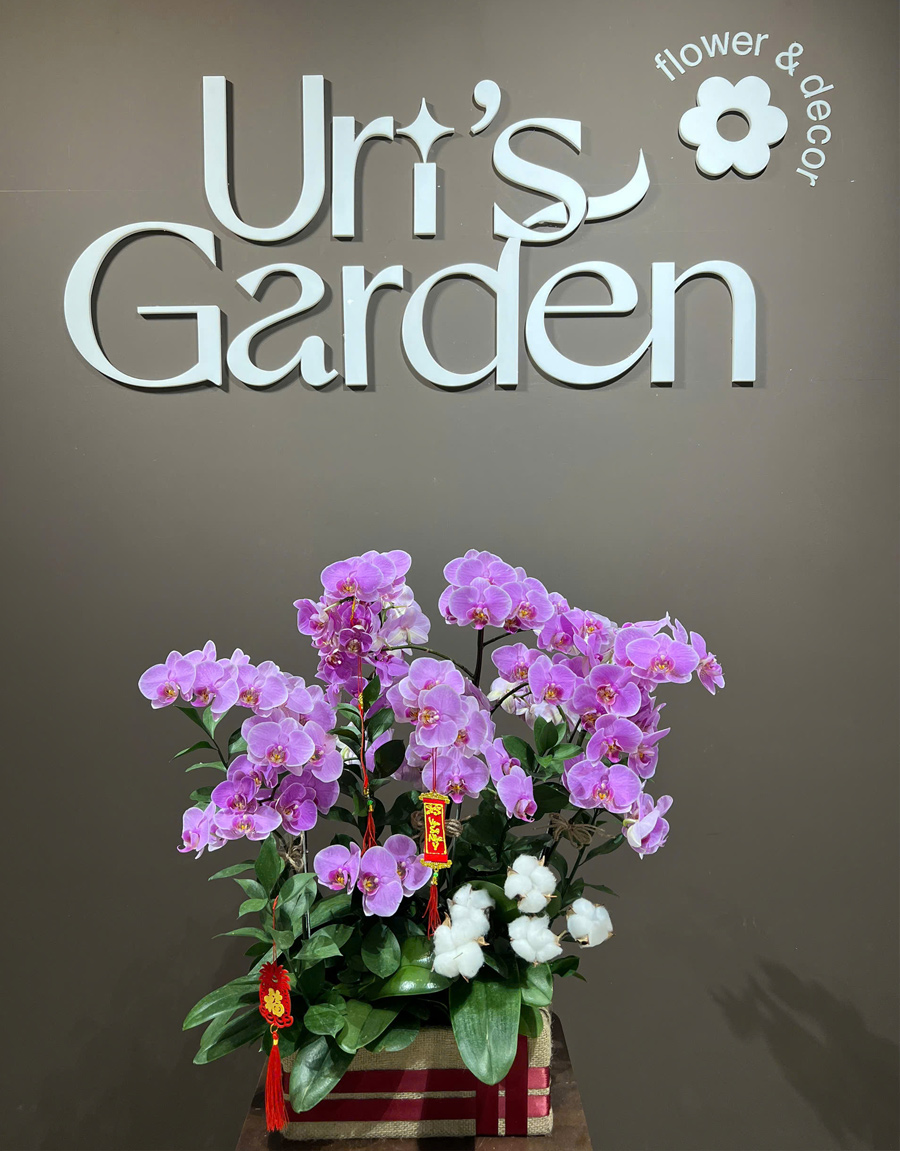 lan-ho-diep-mau-moi-69